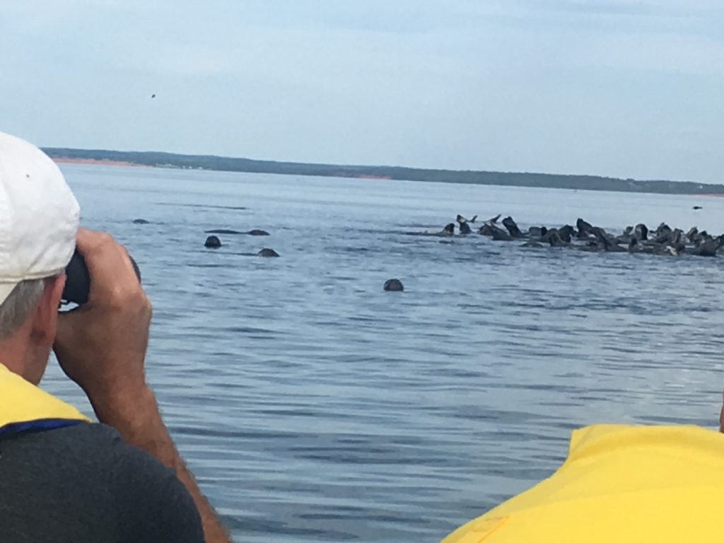 to Adventures Marine Zodiac Boat Tours Adventures Marine